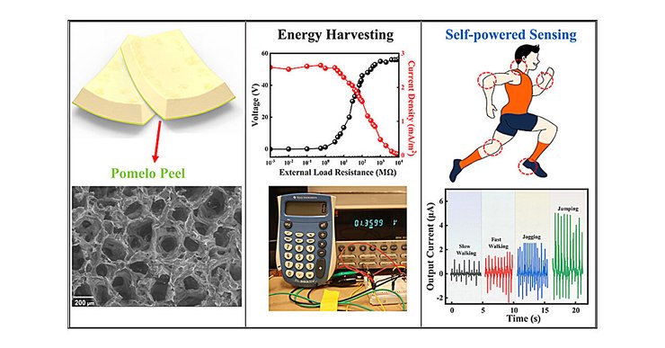 Отходы, энергия, кожура помело, фото