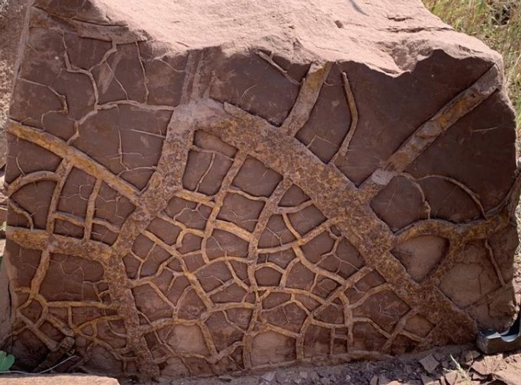 земля окаменелость сухость