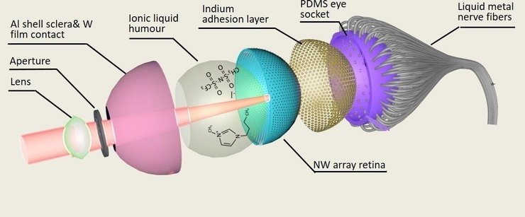 бионический глаз