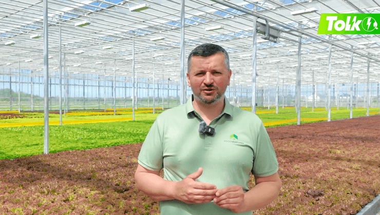 "Cучасна скляна теплиця — це вже інновація", — розповідає Сергій Ленчук, директор ТОВ "Галіція Грінері"