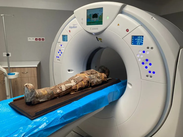 Вчені використали комп'ютерну томографію
