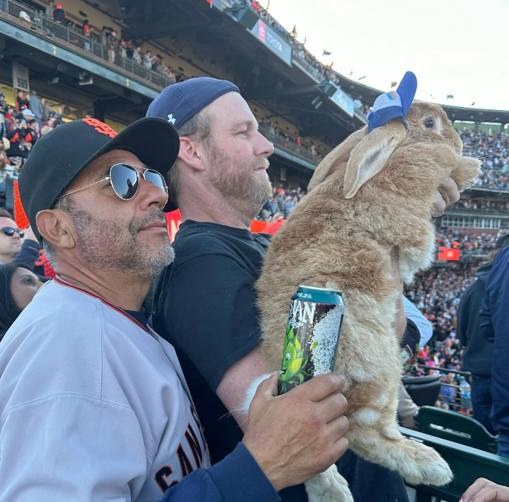 Кролик, звери, домашние любимцы, животные, курьезы, фото, видео, тренды TikTok, Instagram