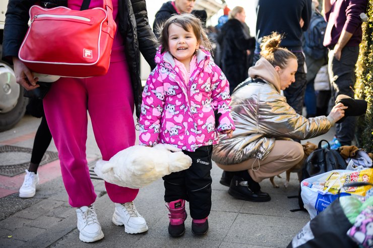 беженцы, украинцы, переселенцы, ЕС