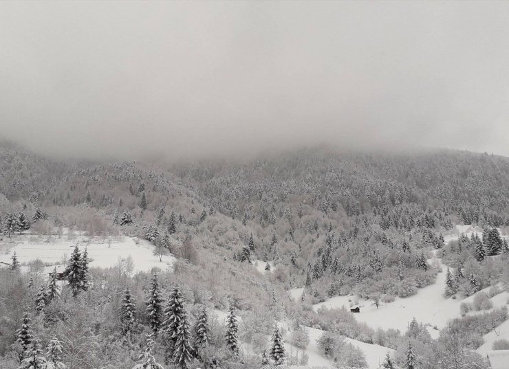 Карпаты в снегу, фото