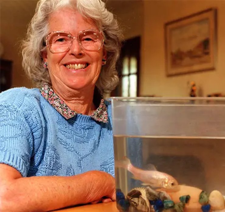 Найстаріша золота рибка, рекорд, книга рекордів Гіннеса, втратила забарвлення, 43-річна золота рибка, Тіш, прожила 43 роки