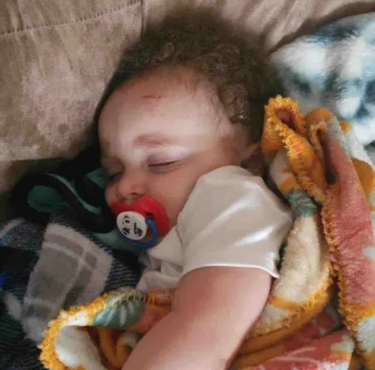 Торнадо в США, стихія, погода, дитина на дереві, рятувальна операція, фото, США