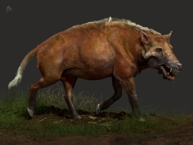 археотерий, энтелодонт, реконструкция, фото