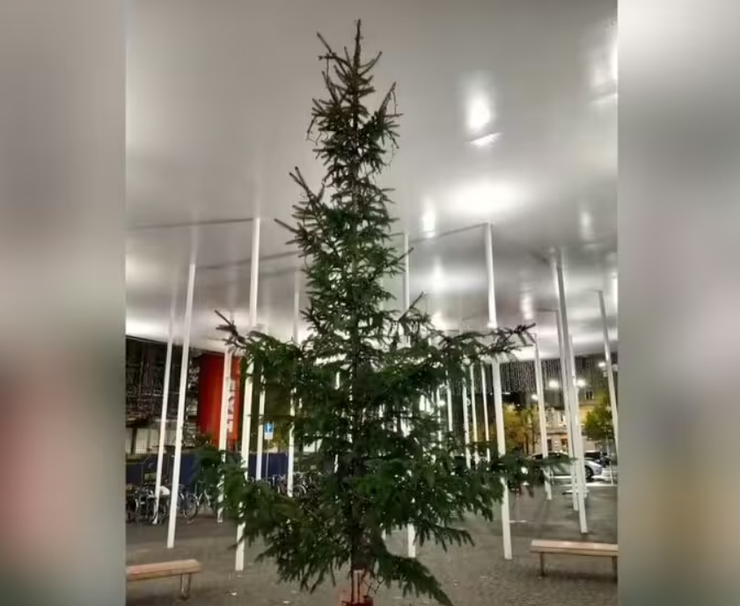 Елка возле вокзала в Ла-Шо-де-Фон, Швейцария, скандал, Новый год, Рождество, фото, курьезы