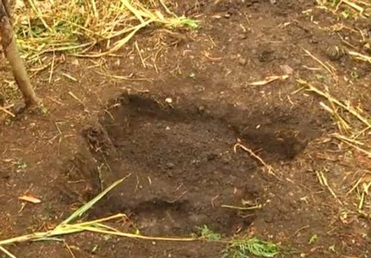 Никсианн Даунз-Клак, место захоронения Никсианн Даунз-Клак