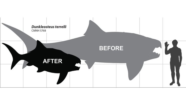 Рыба, хищник, Dunkleosteus, зверь, животное