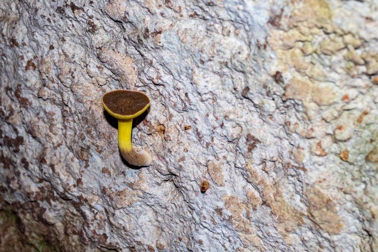 Печера відлюдника, пам'ятка архітектури, історична пам'ятка