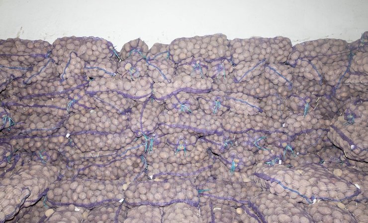 военнопленные в украине