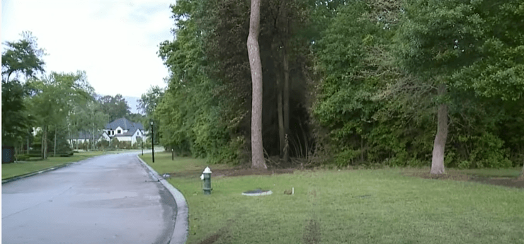 дтп, авария, tesla, фото