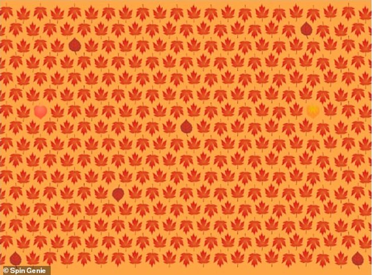 Сезонний тест на ідеальний зір