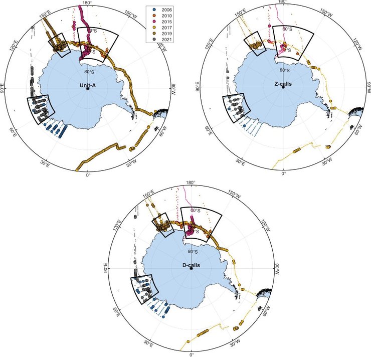синие киты антарктида перемещение