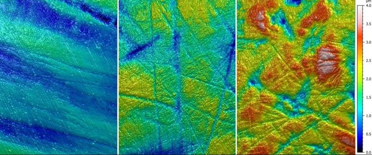 панда скам'янілість