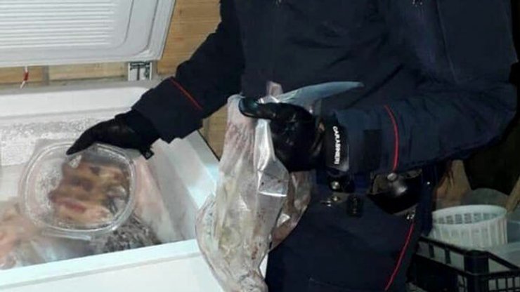 мыши , италия,