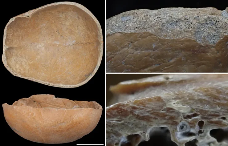 археологи нашли тысячи древних человеческих костей