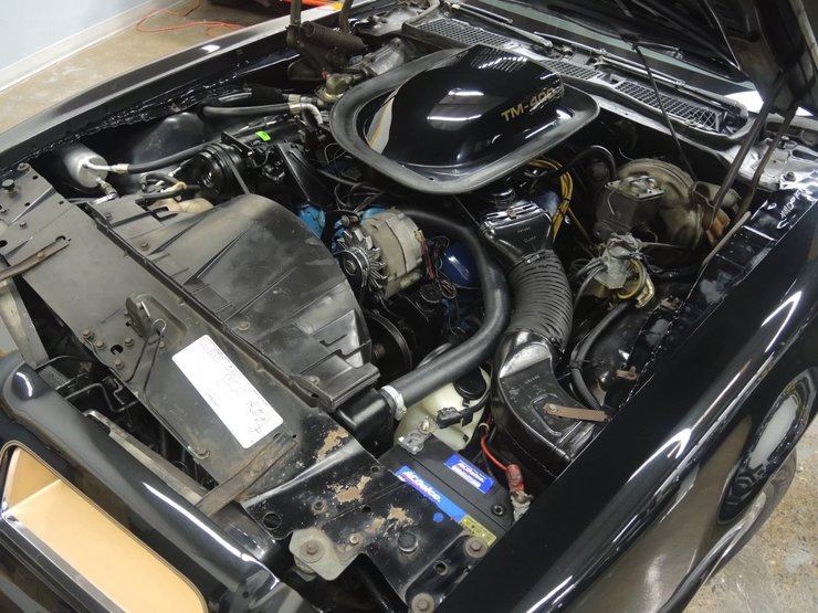 Pontiac Firebird, Pontiac Firebird 1976 года, Pontiac Firebird Trans Am