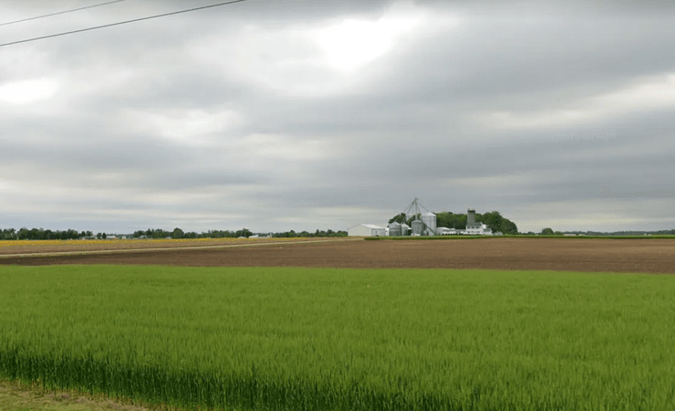 Юристи зробили розбір основних правил і ризиків купівлі землі в Україні