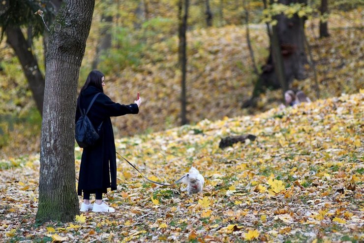 україна, прогноз погоди, бабине літо