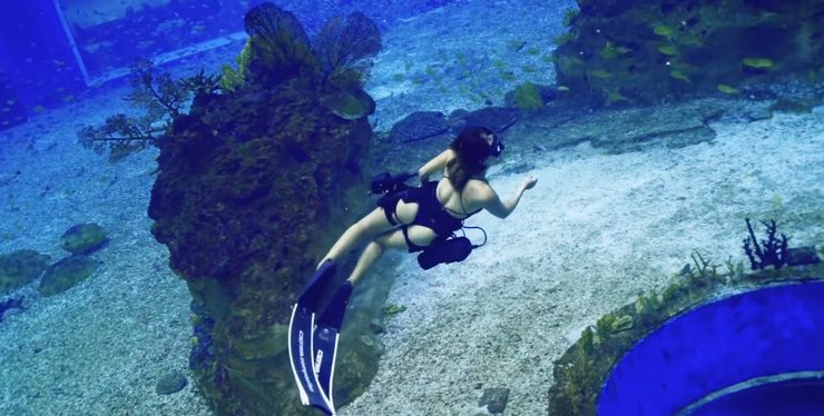 Seakool D2, дайвинг