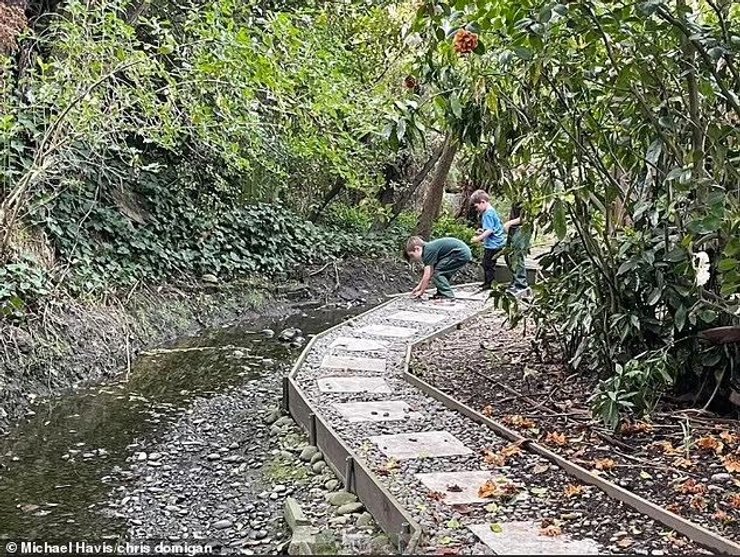 дети, сад, вода, фото