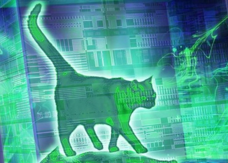 Кот Шредингера