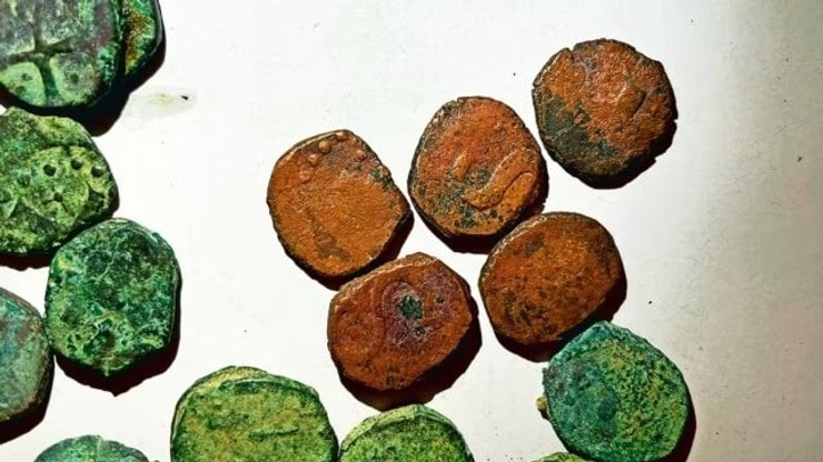 Індія, Гоа, фермер, скарб, монети, Португалія, імперія, спеції, торгівля, знахідка, історія, археологи, археологія, горщик, правління, королівство, колонія