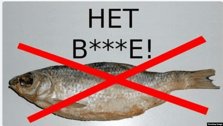 Аліса Кліментова, Аліса Кліментова суд, Кафка, кафка процес, кафкіанський абсурд, судове свавілля, немає вобле, немає війни