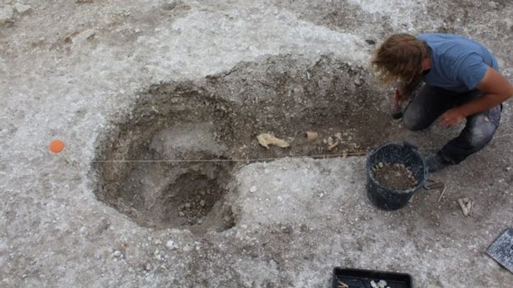 стена даррингтона