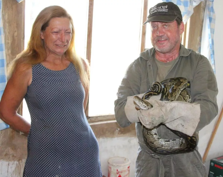 Пітона на своїй кухні виявила пенсіонерка з Південної Африки, рептилія, плазун, змія в будинку, фото, курйози