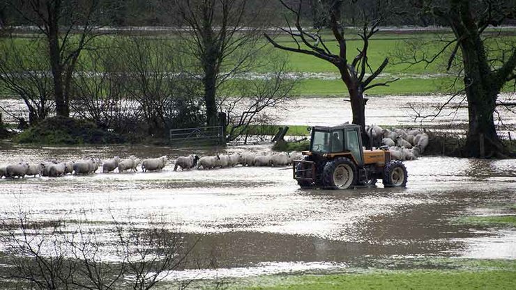 Затопленные фермы в Великобритании, ферма, наводнение, далеко от реки, фонд, выплаты фермерам, компенсация, ферма, восстановить землю