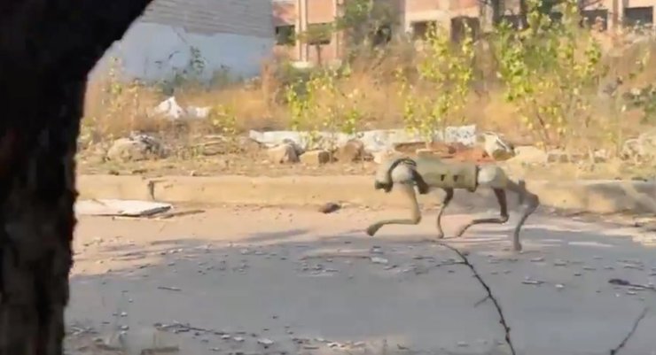 Первый робот-пес ВСУ