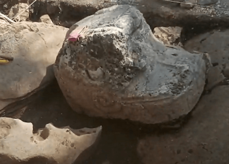 чичен-ица находка, моя находка, пирамида Кукулькана находка, чичен-ица находка, археологи исследования, статуя чичен-ица, статья змея