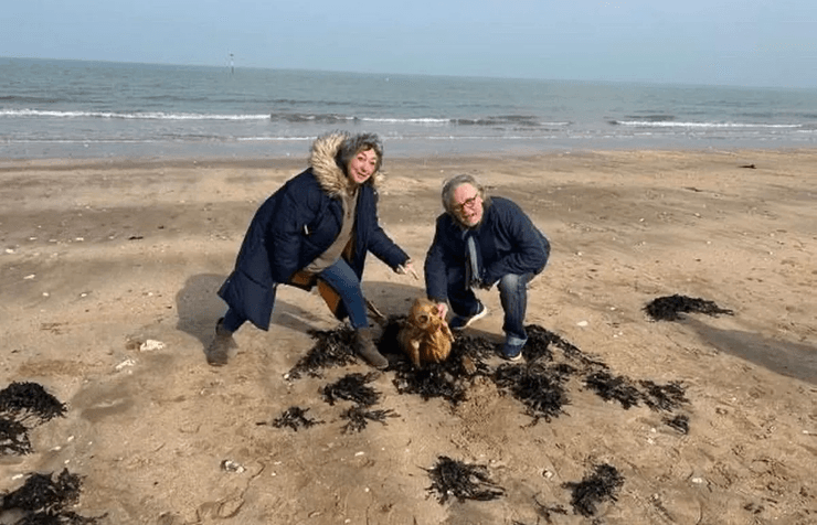 Скелет русалки, выбросило на пляж, необычное существо, странный объект, находка на пляже, жуткое существо, гибрид скелета и русалки,