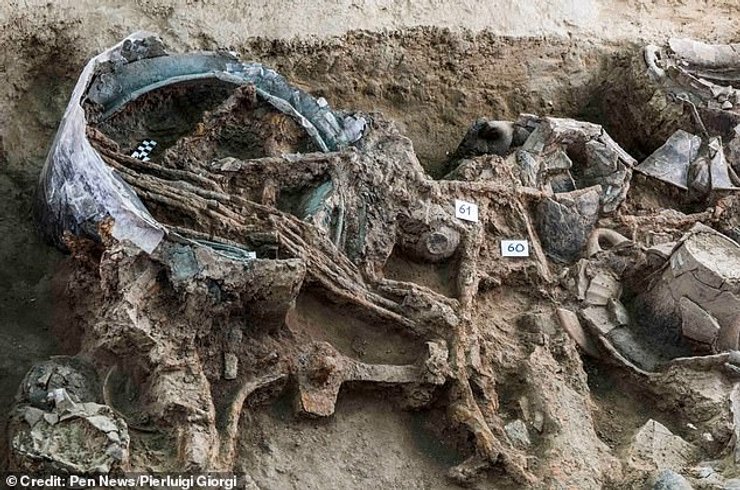 археология, раскопки, гробница, могила принца из железного века, италия