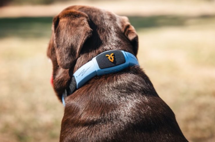 Personifi AI нашийник Shazam Pet