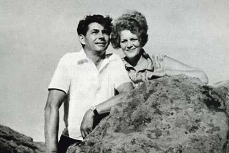 лина костенко и сверчок