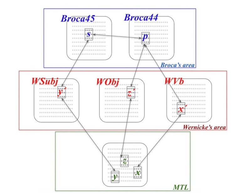 нейронные связи, мозг, модель