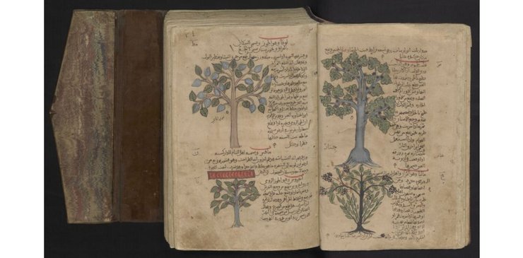 рукопис, Аполлоній, історія, геометрія, математика, манускрипт, вчені, тексти, знання, наука, дослідження, іслам, світ, прогрес