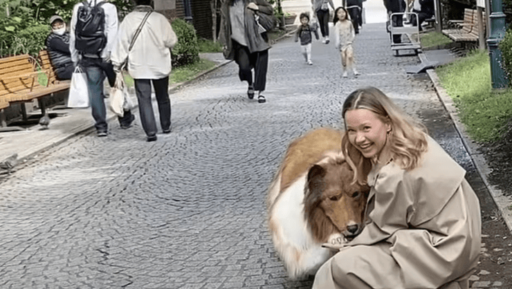 Хлопець у костюмі собаки, реалістичний костюм коллі, костюм хаскі, хлопець живе як собака, хоче жити як собака, люди хочуть стати тваринами