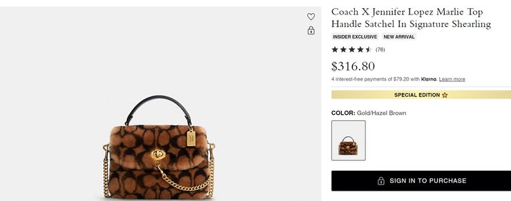 Дженнифер Лопес, сумка