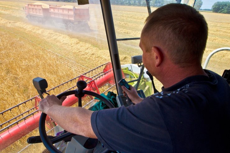 урожай 2024, урожай в украине, жара и урожай, аномальная жара, Урожай овощей 2024, урожай зерновых, цены на овощи, цены на огурцы, картофель 2024, урожай картофеля, урожай картофеля