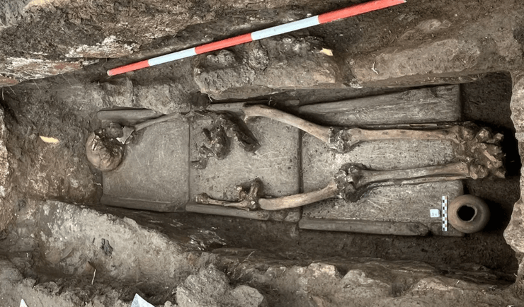 Скелетированные останки в захоронении