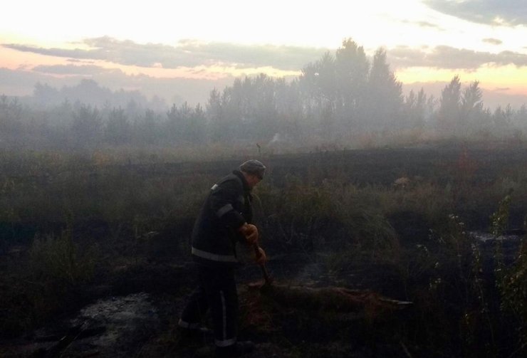 Пожар в Луганской области 22.07.2020