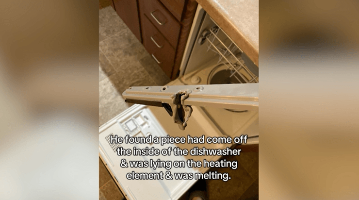 Кот спас семью от возможного пожара, как это случилось, все подробности инцидента, невероятные истории, курьезы