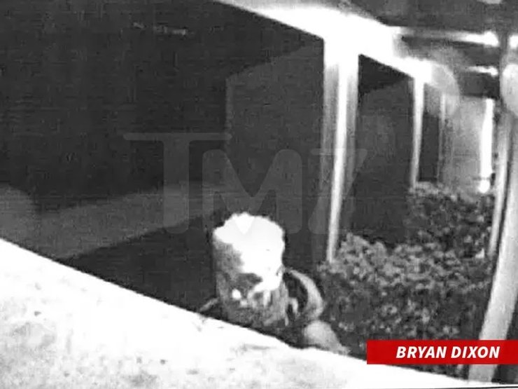 Киану Ривз, сталкер, преследователь, безумный фанат, Александра Грант, брайан диксон