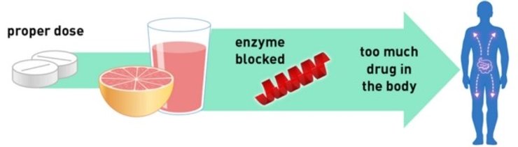 грейпфрут таблетки графіка