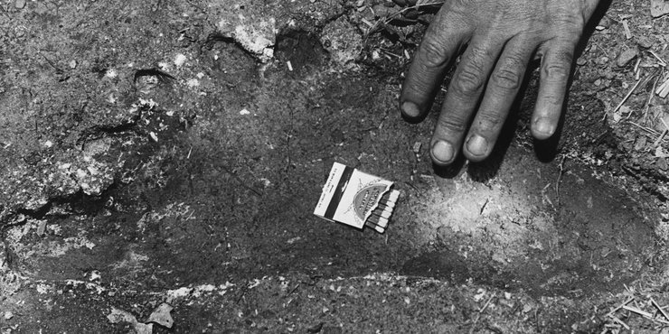 Бигфут, Сасквоч, снежный человек